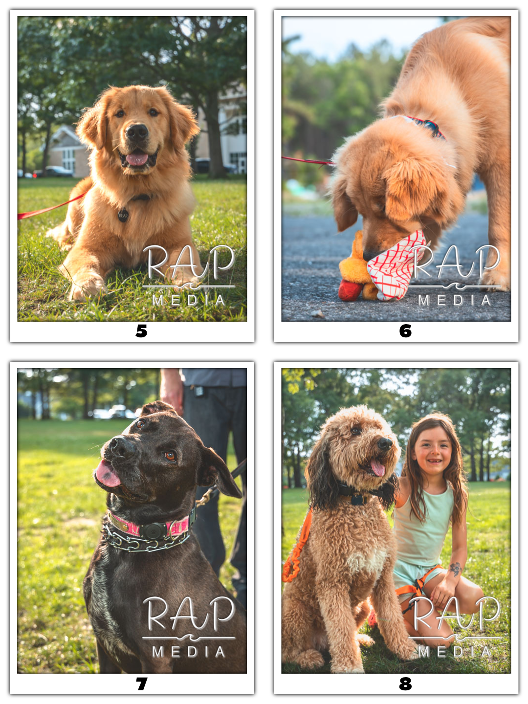 PAwty 2 Website.png