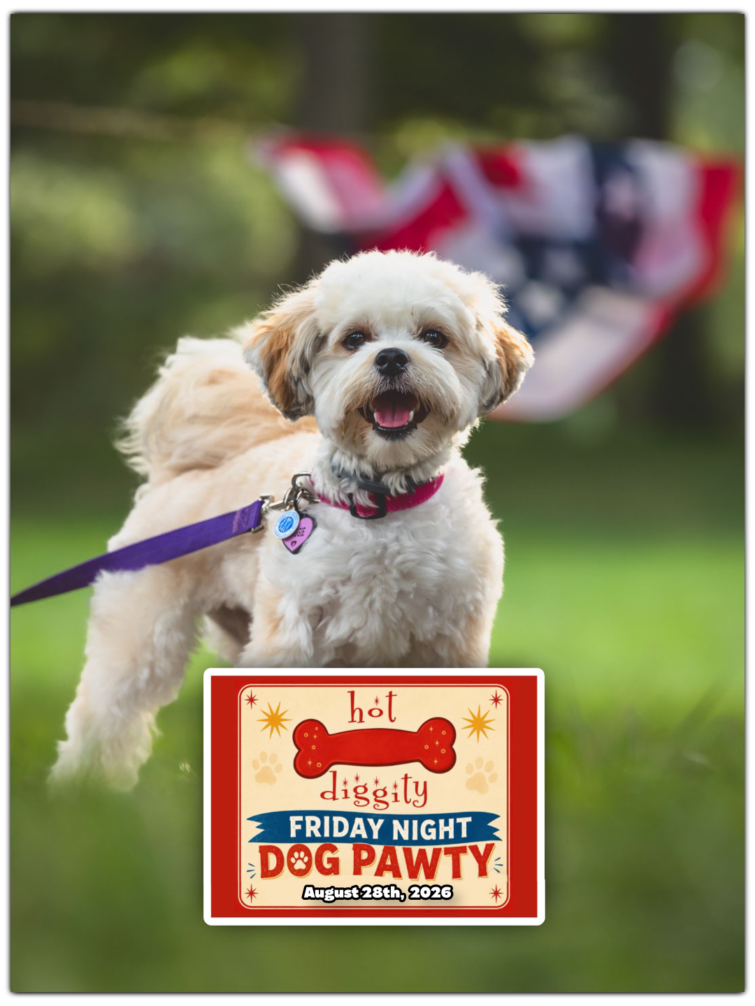 Hot Diggity and Naukabout Dog Party - Aug 28