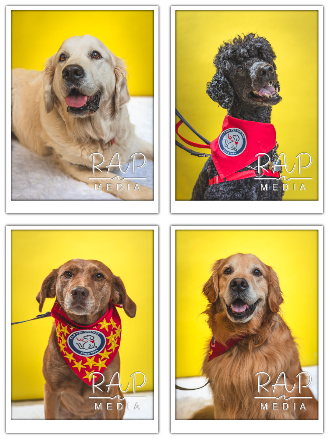 Sampson Fund Fair 4.png