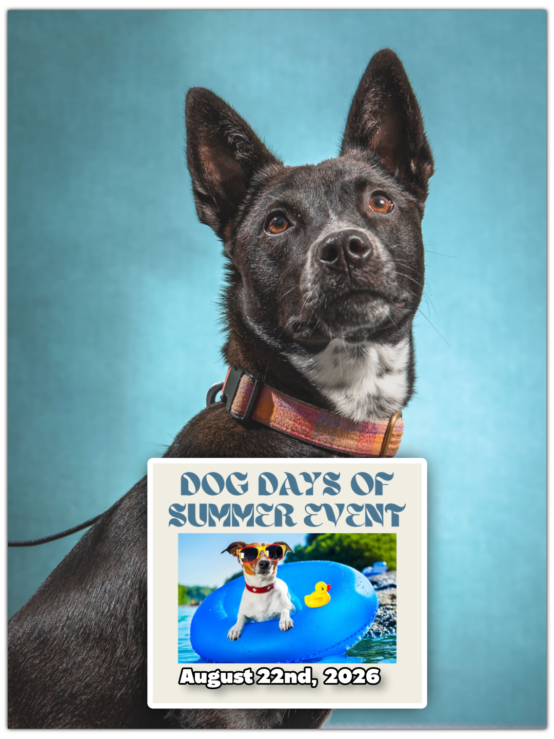 Dog Days of Summer 2026