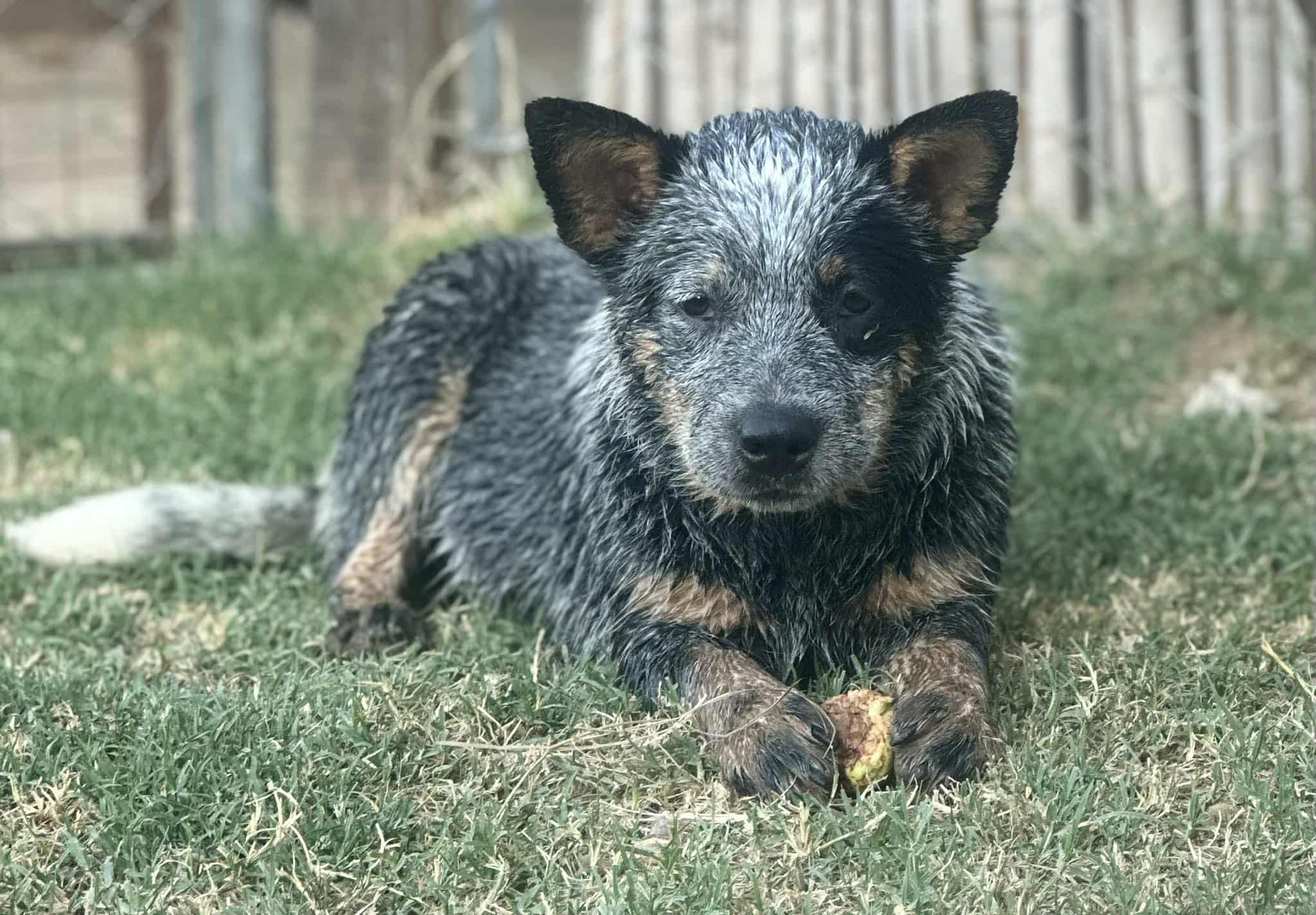 f037aa0f-7590-43a6-9b5a-b6c4b0477861.jfif