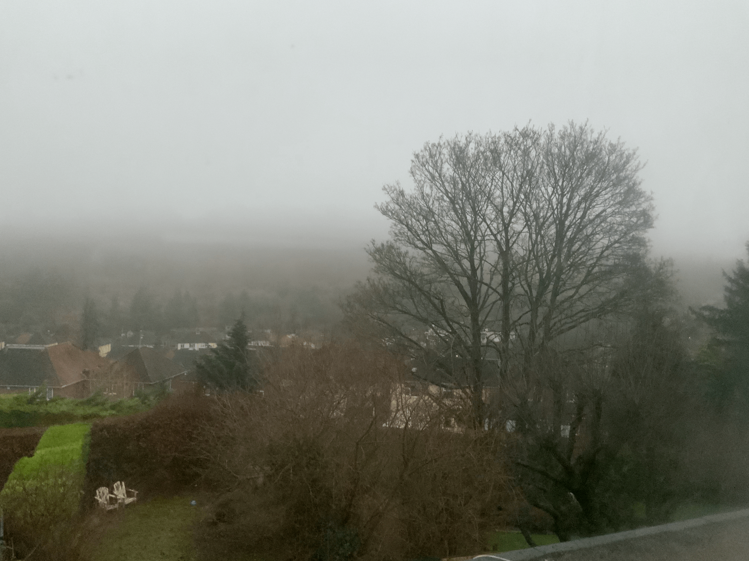 January musIng….2023