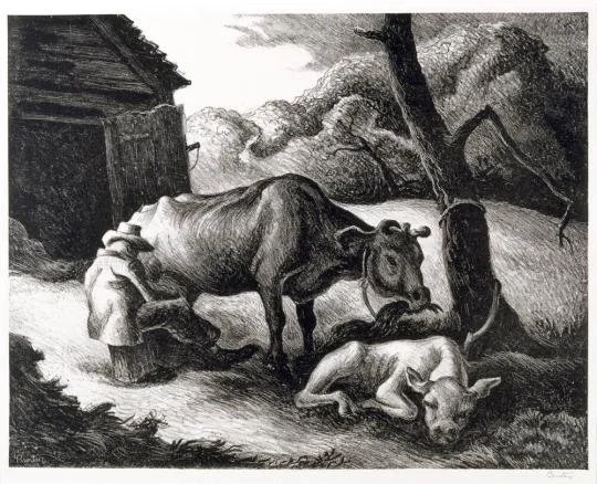 White Calf (1945) by Thomas Hart Benton, at ​​​​Museum of Fine Arts, Houston
