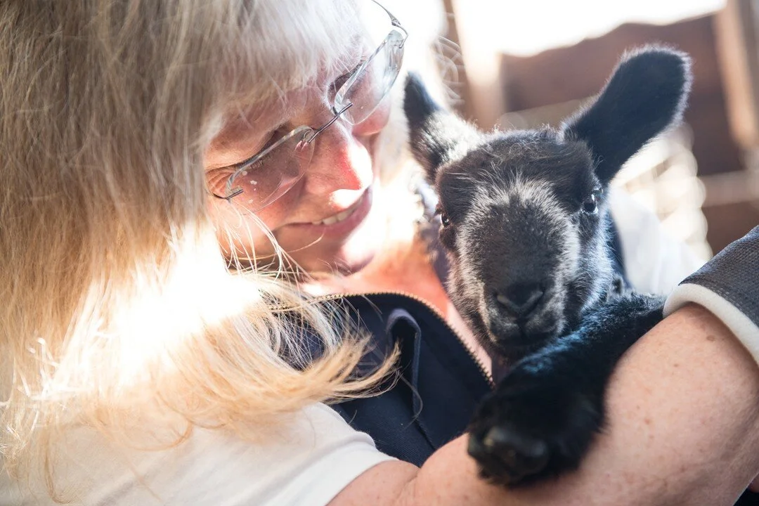 Everyone, meet Karen from @liongatefarm in Eagle Point, OR. She was the other winner from my new website giveaway, and I can't tell you how glad I am that she was! Karen not only runs a farm raising rare Bluefaced Leicester Sheep with her husband Joh