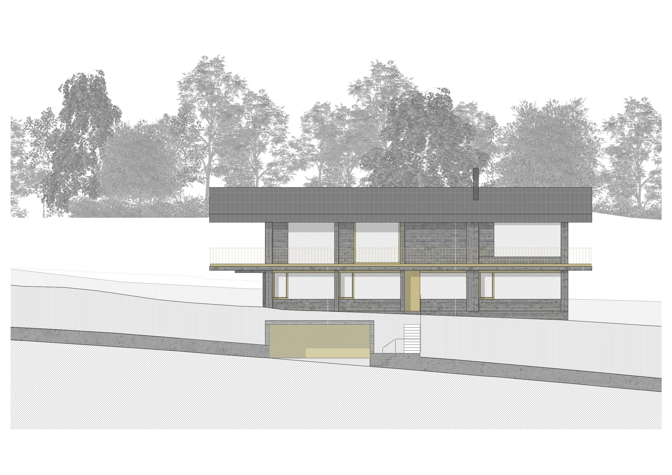 EFH_BC_Baugesuch-230116 › 06 schnitte _ ansichten Kopie.jpg