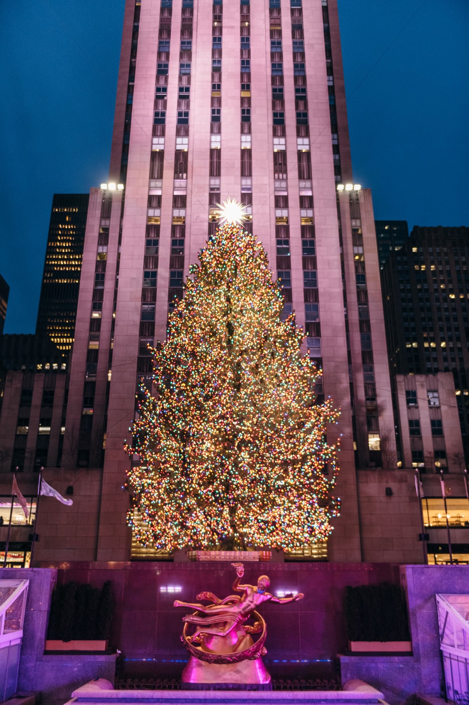Rockefeller Center Tour - Christmas Tree.jpg