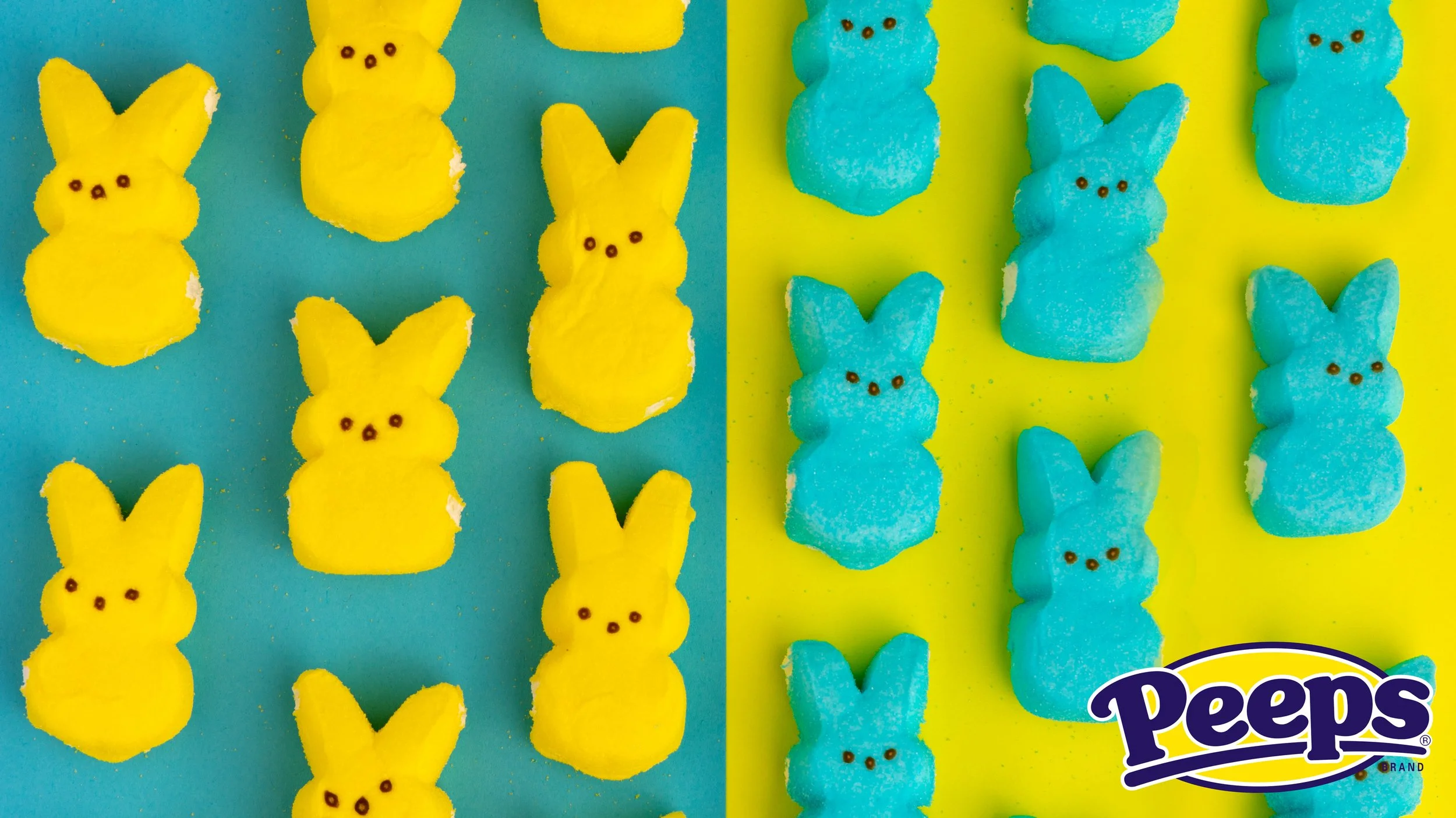 mb PHOTO 375 - Flatlay - Peeps-TwoTone Widescreen.jpg