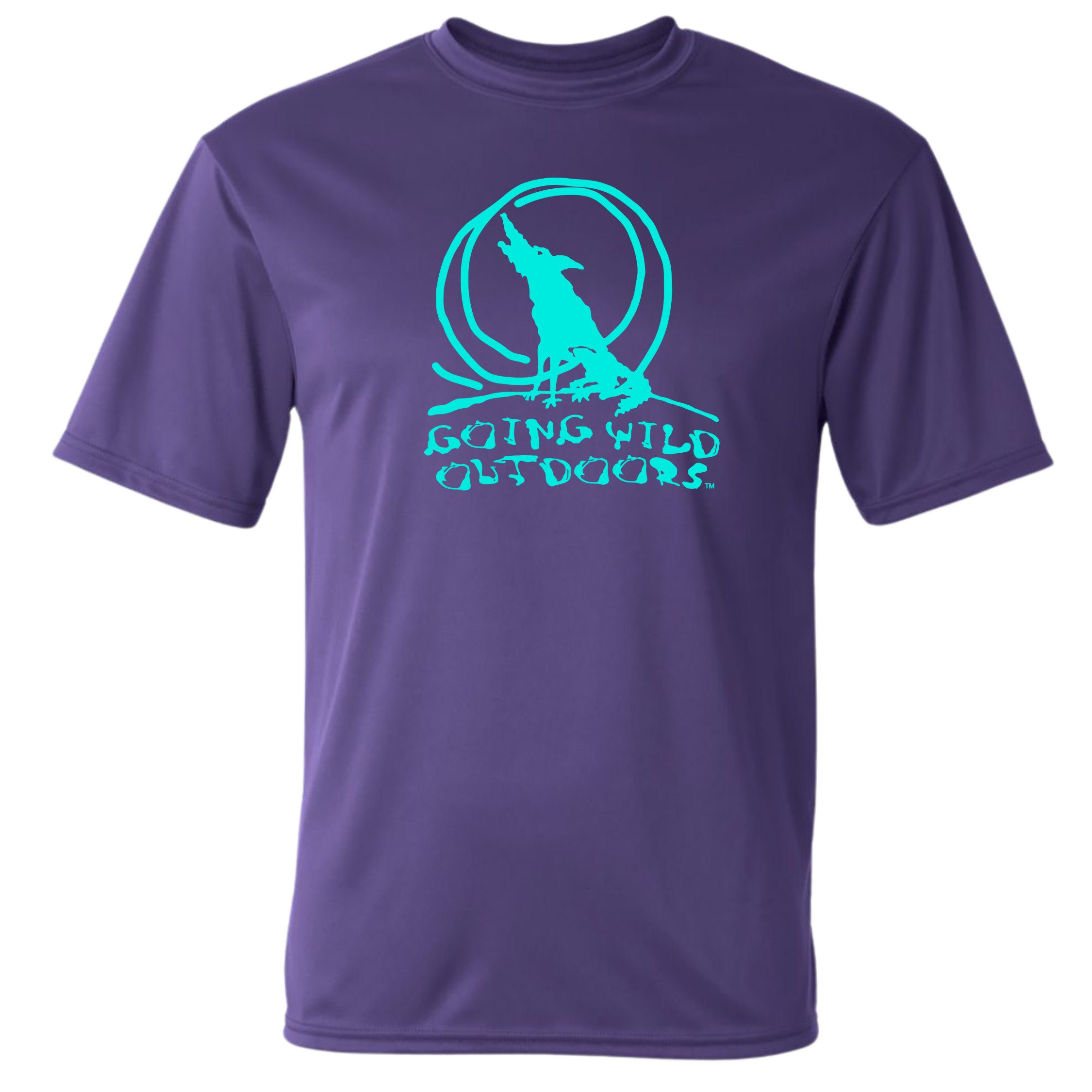 C2 500 Purple teal wolf.png