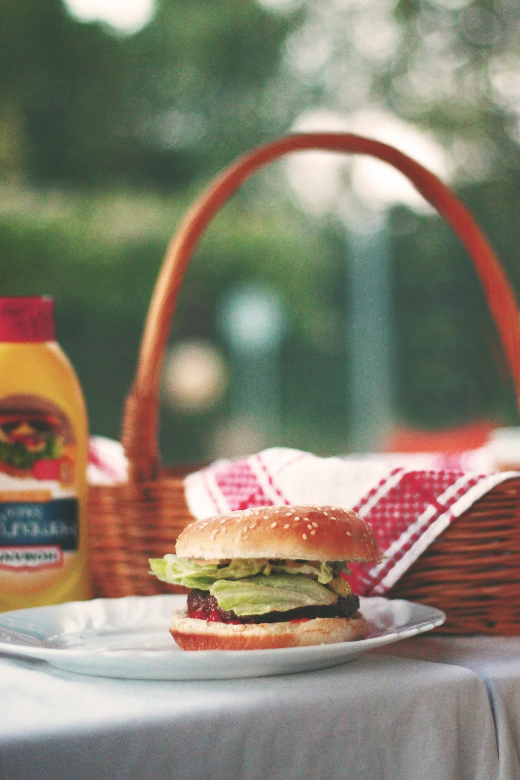 Church Picnic