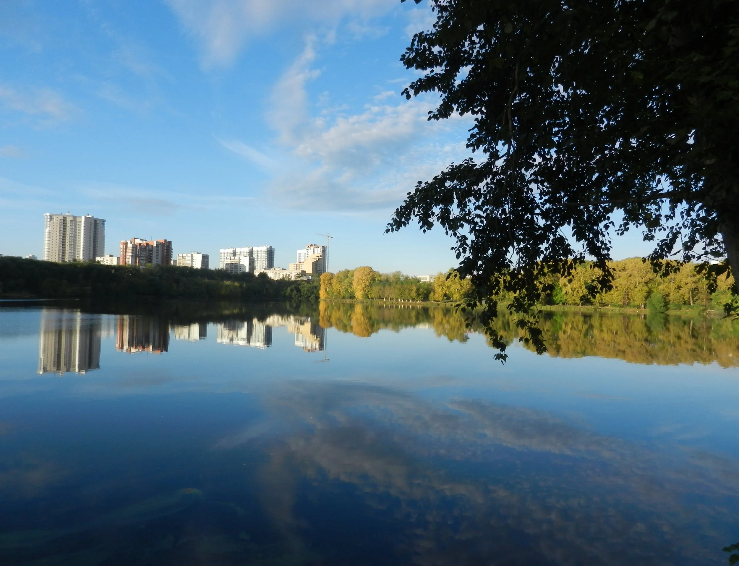 Laugh by Frankie Mayor