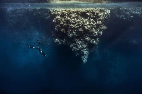 Like a Mountain Underwater by A Poem Guy