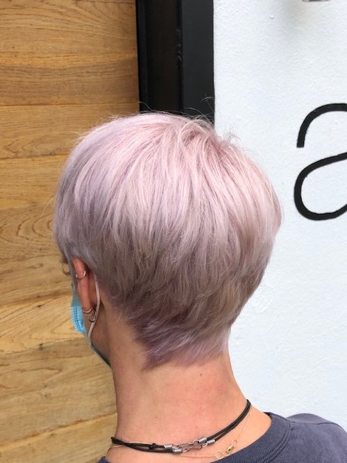 Lilac pixie