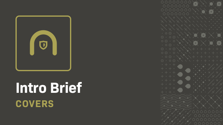Intro Brief