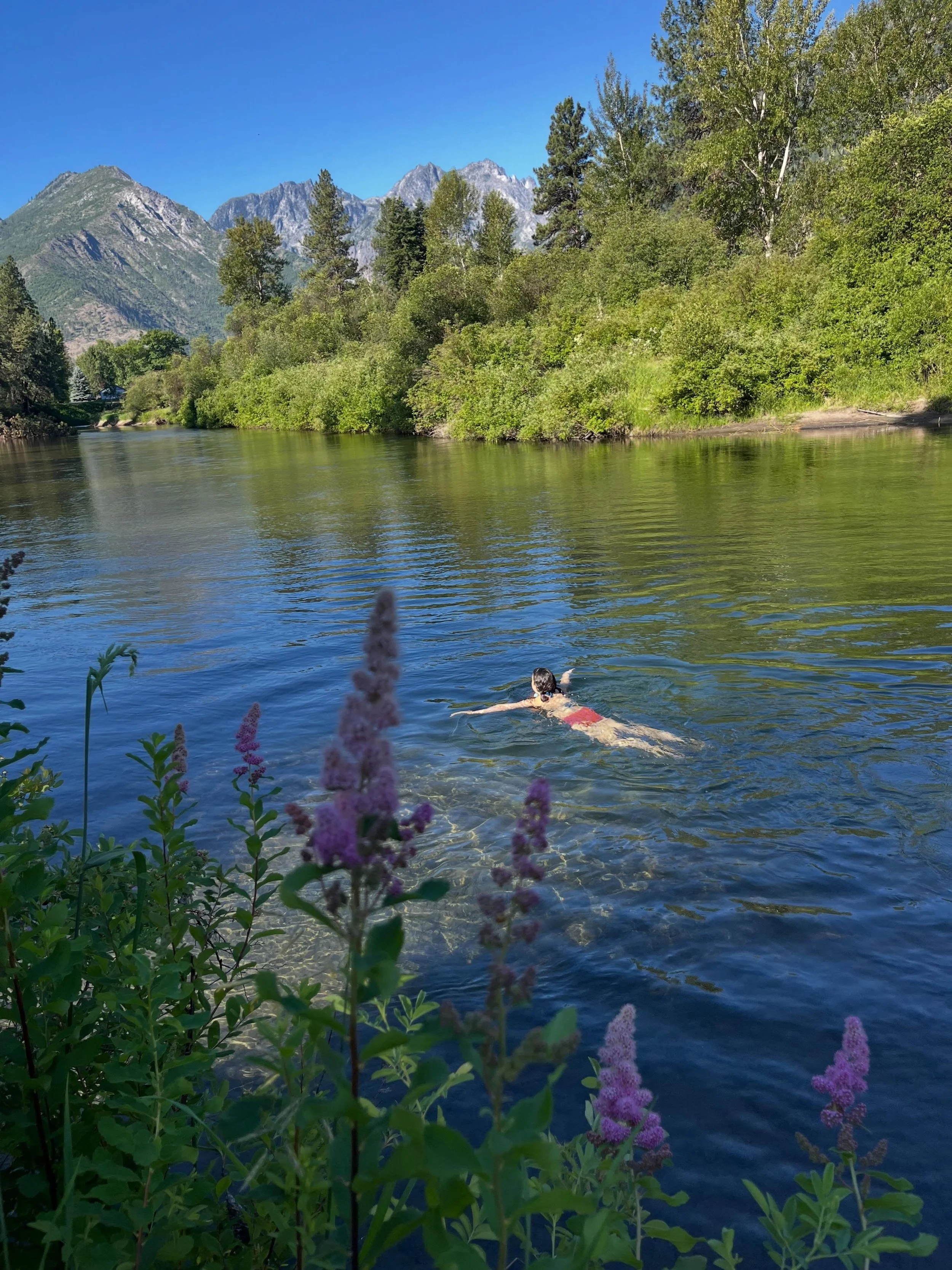 Hello Summer! Catching a few days at home and in nearby Cascades before we embark on another big tour around the west. Grateful. Please see dates below and join us...thank you! 💕🌺

SWAY SUMMER 
7.1 Eugene, OR @tsunamibooks
7.2 Coos Bay, OR @7devils