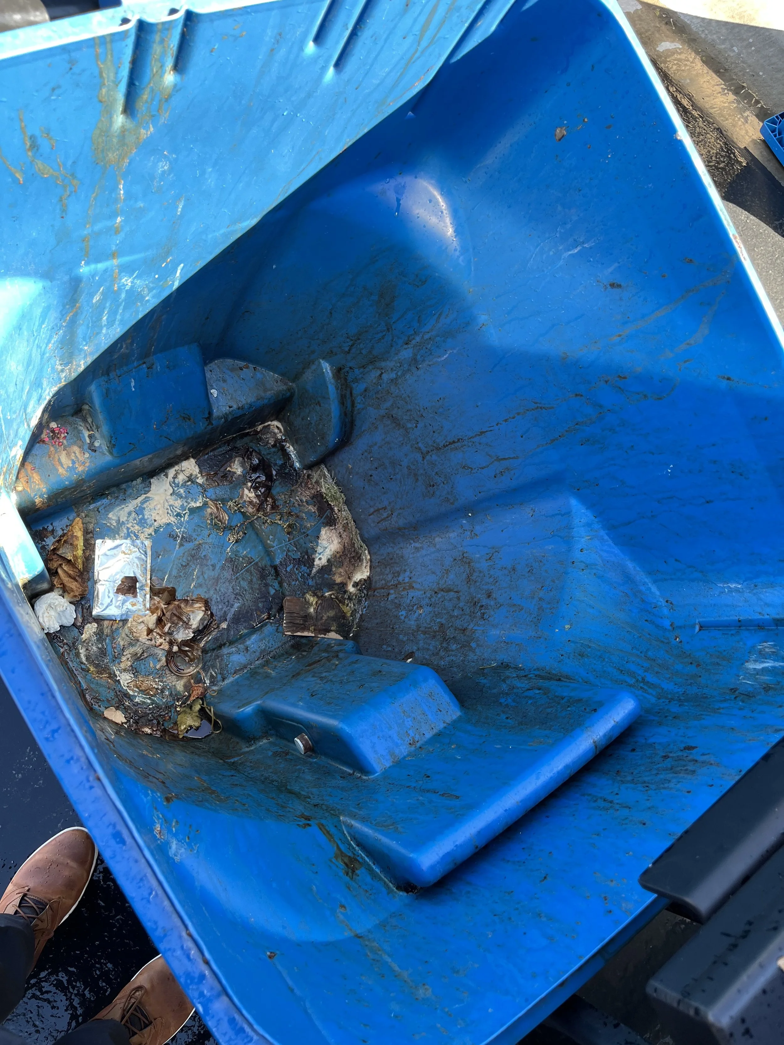 AquaCans Las Vegas Trash Can Cleaning Trash Bin Cleaning