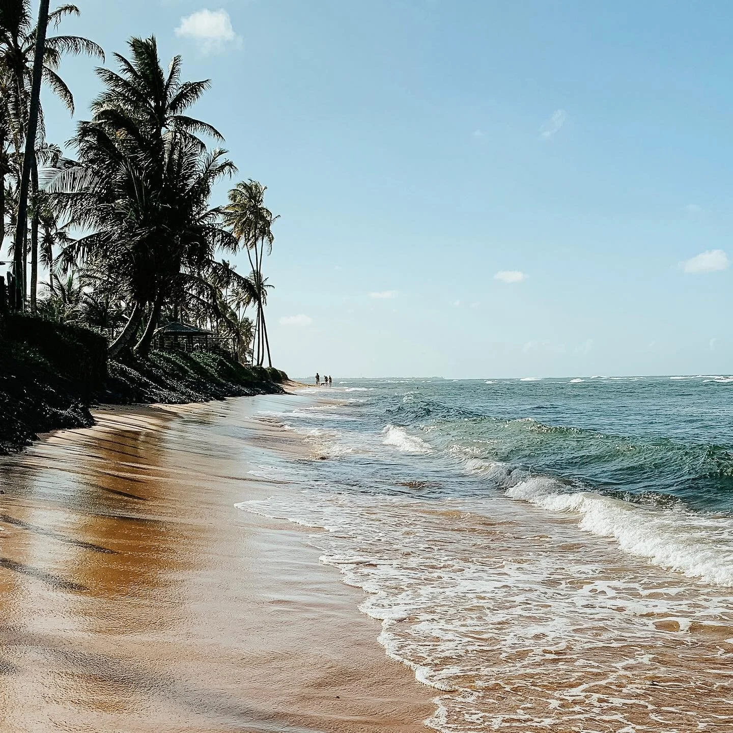 ☀️🏝

#beach #strand #palmtrees #brazil #praiadoforte #tivoli #tivoliecoresortpraiadoforte #tivoliecoresort #fotografie #photography #photooftheday #picoftheday #videography #cinematography #canon #canoneos6d #canoneosr #blackmagicdesign #bmpcc6kpro 