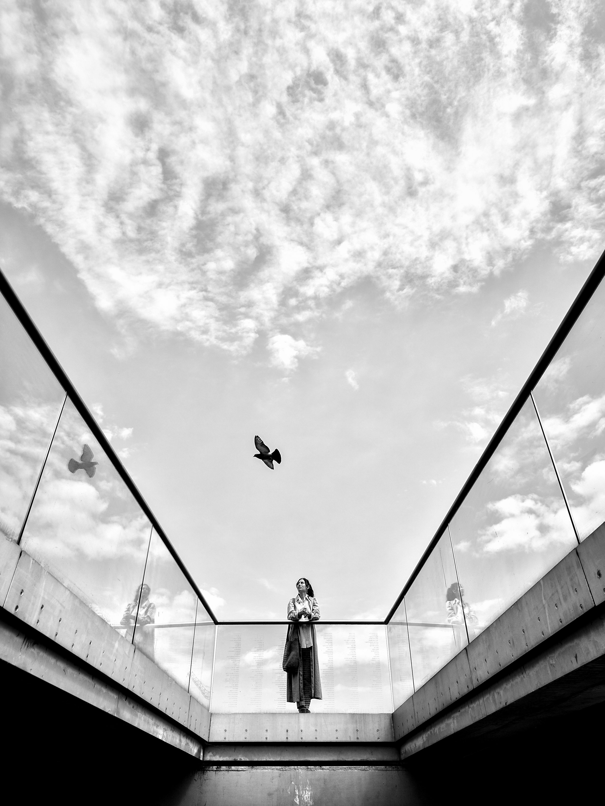 L1 - Alan Schaller - 1.jpg