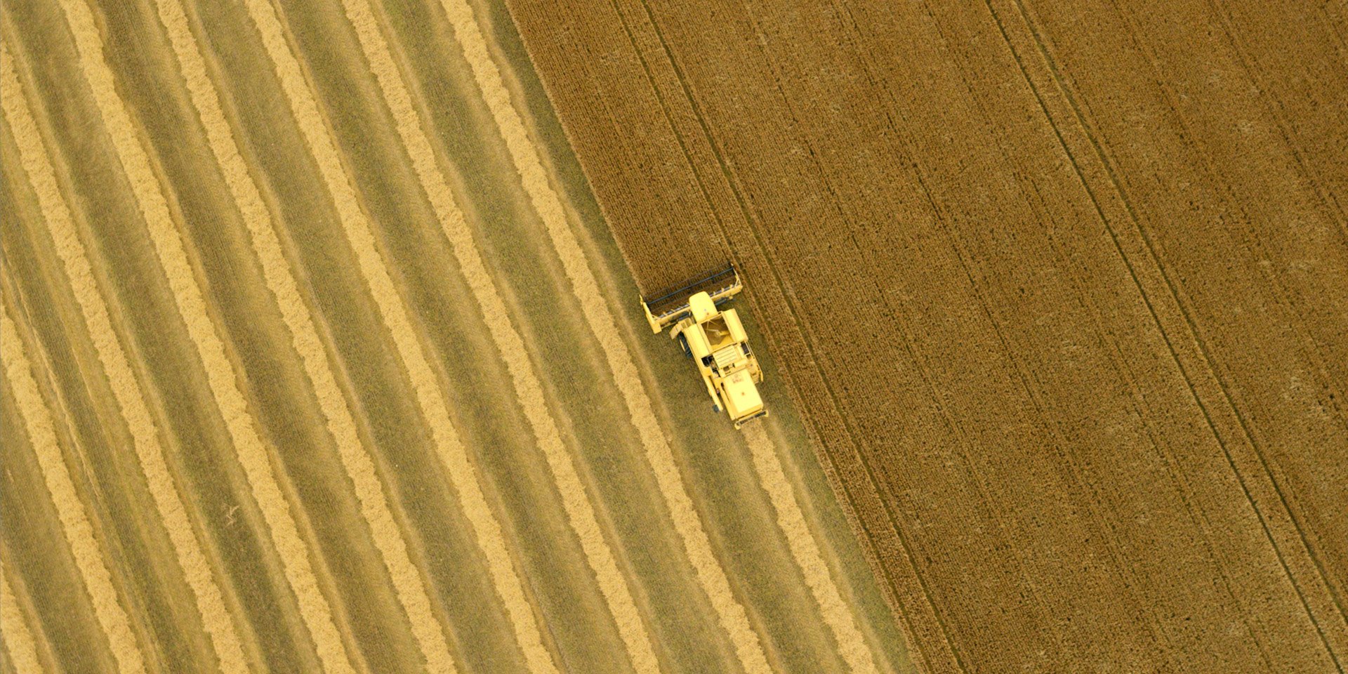 Mac_crop_022.jpg