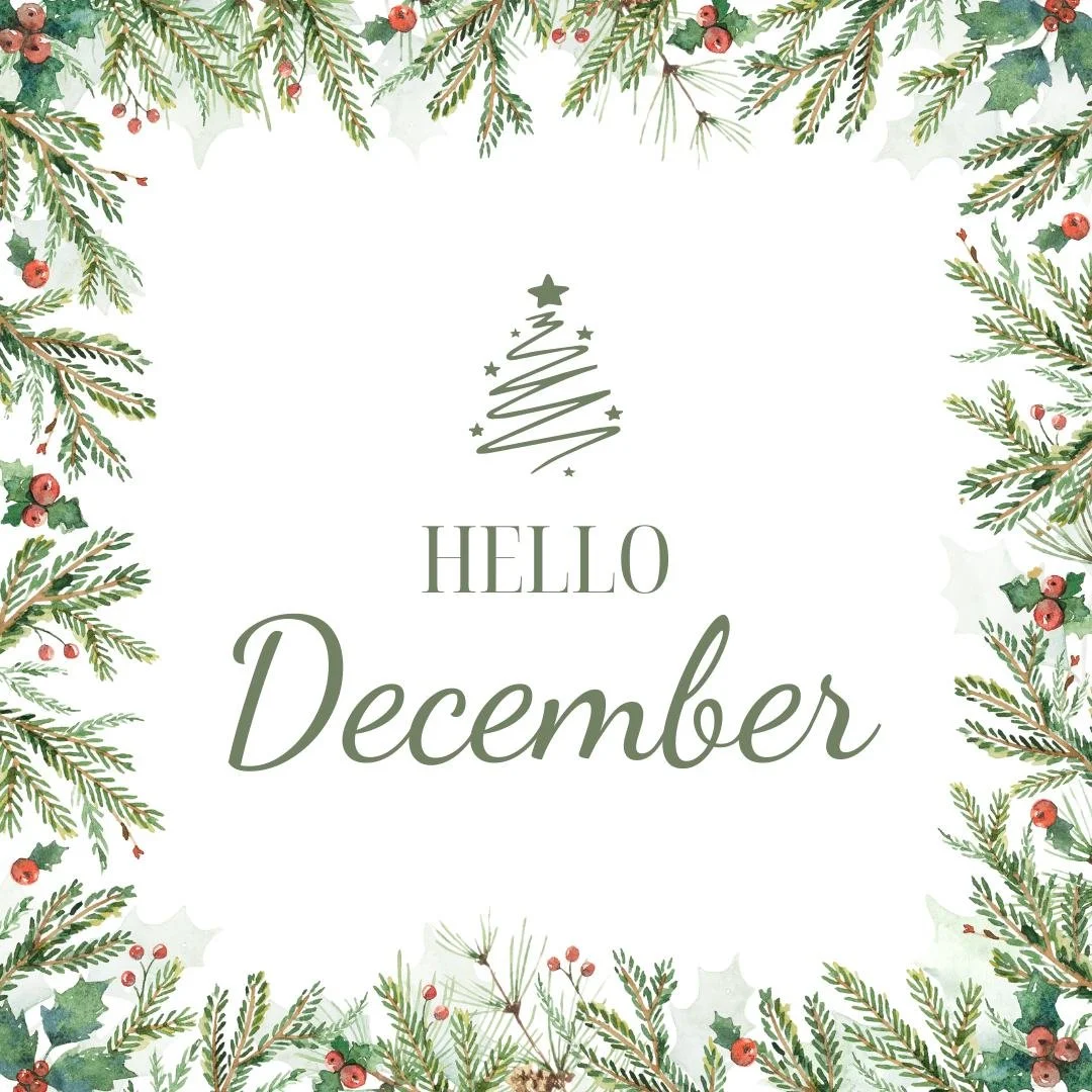 Hello December ✨ Your holiday glow starts here! Book your facials, injectables &amp; hydration treatments before the calendar fills up. 🤍 visit the link in our bio to book!