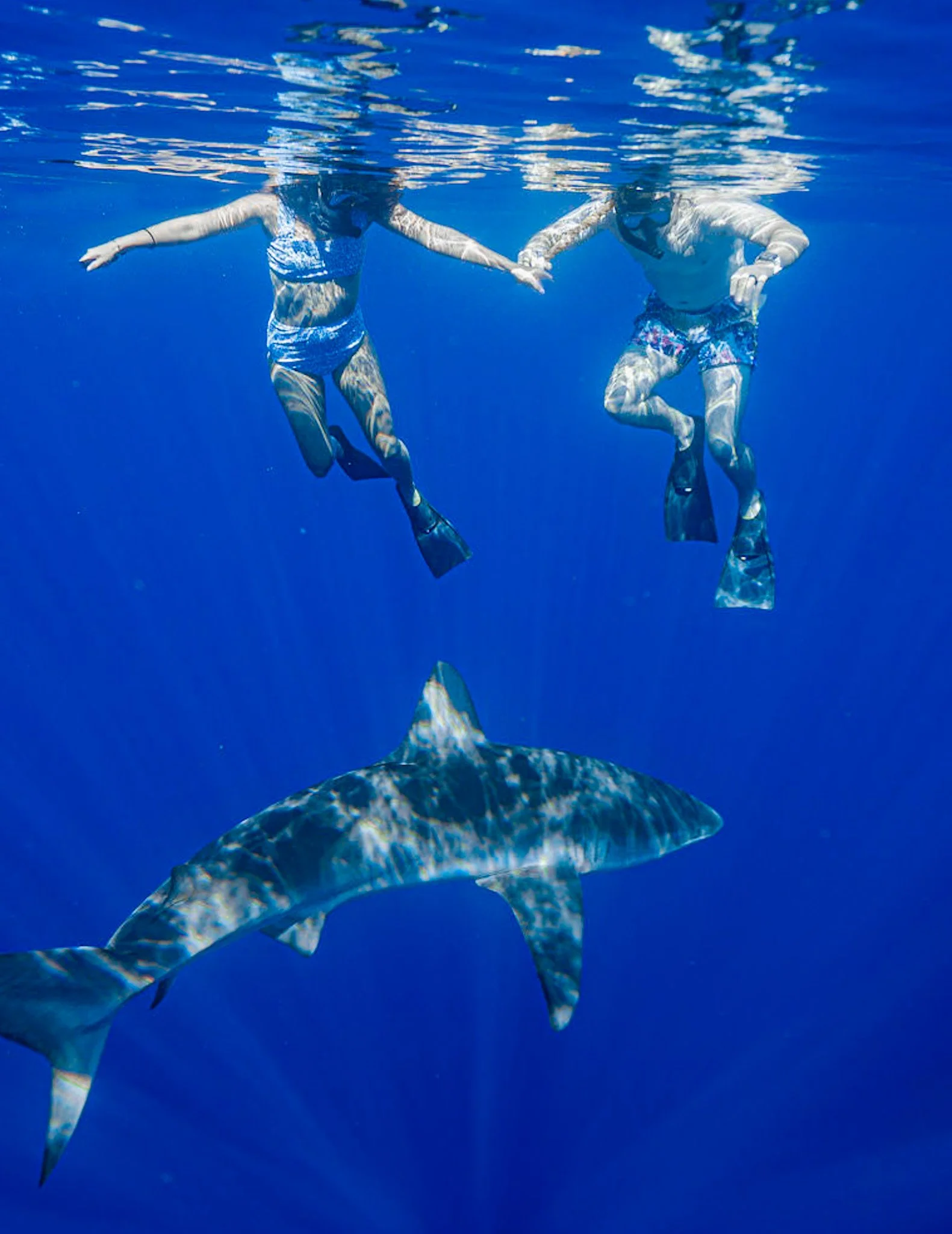 The Ultimate Honolulu, Oahu Bucket List