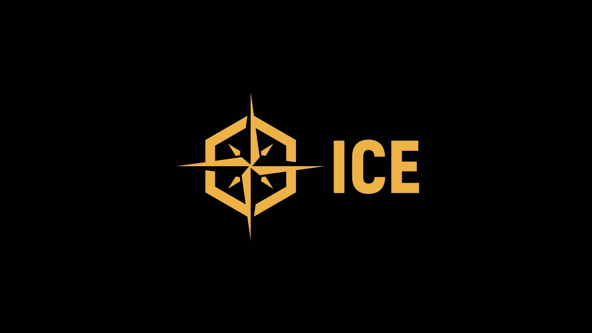 web-disegnat-ice-vienna17.jpg