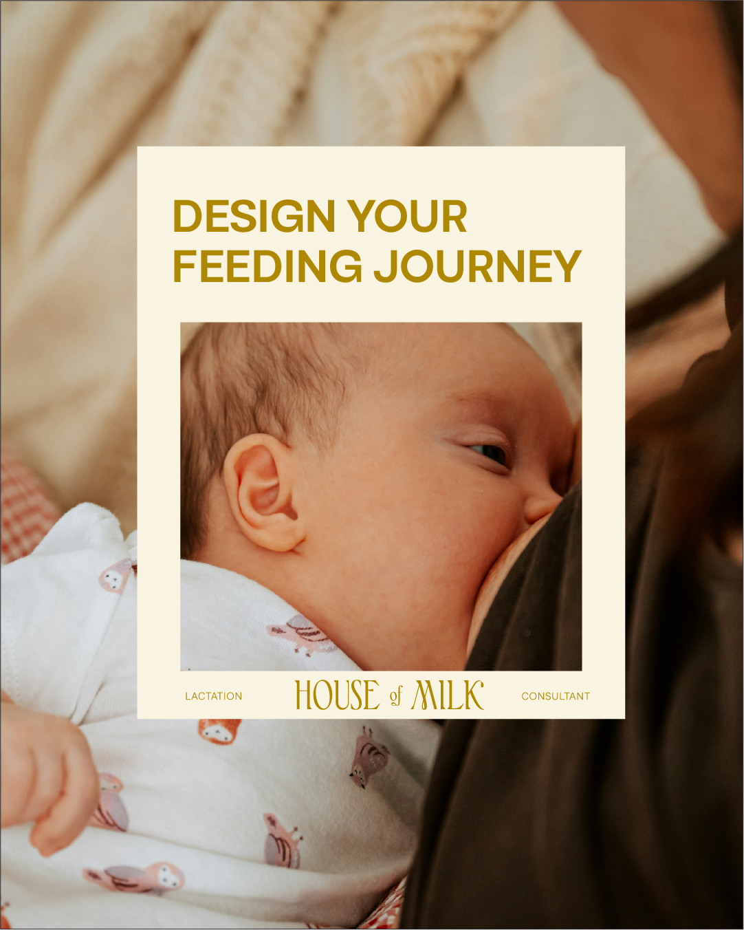 brand identity poster for lactation consultant