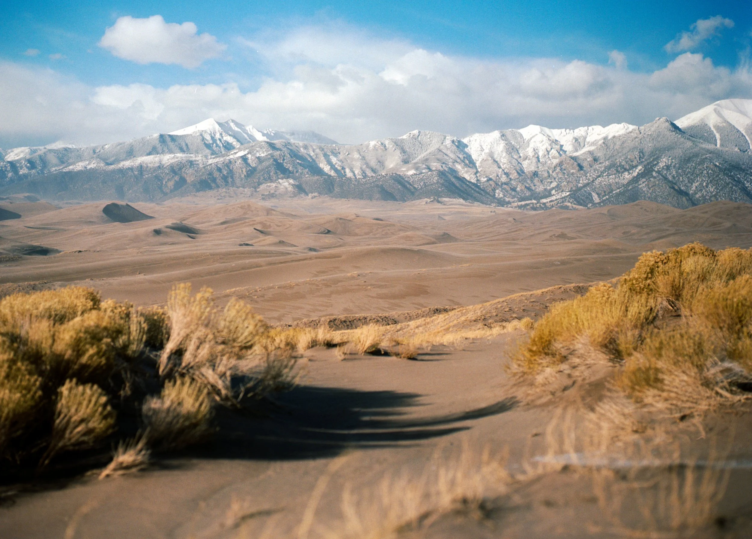 Home — Mountainside Realty