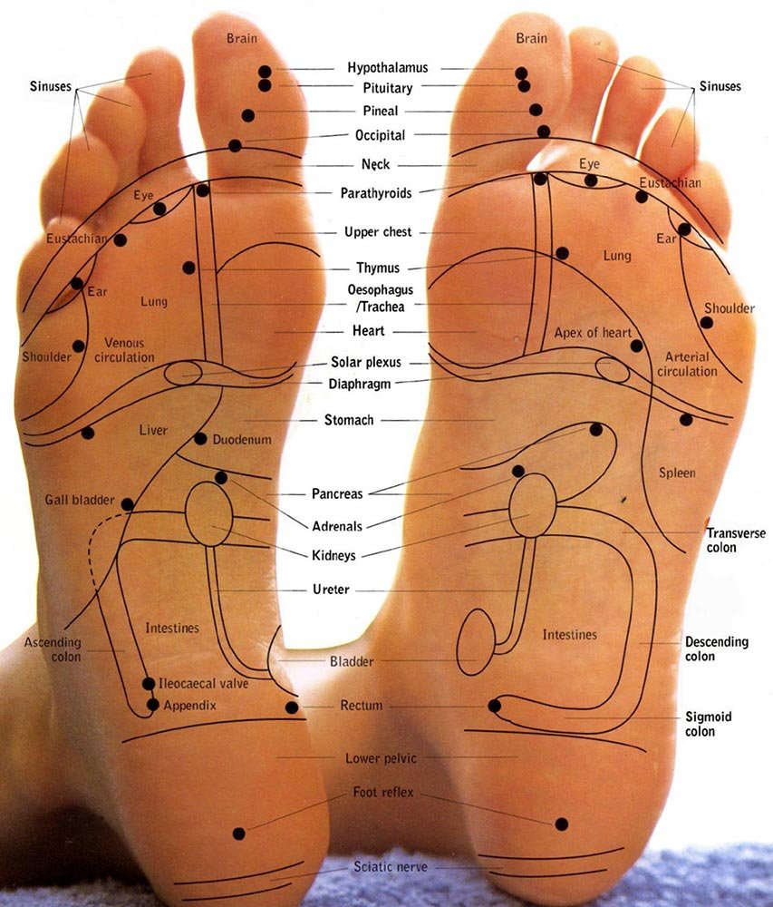 Reflexology, Illustration - Album alb3774579