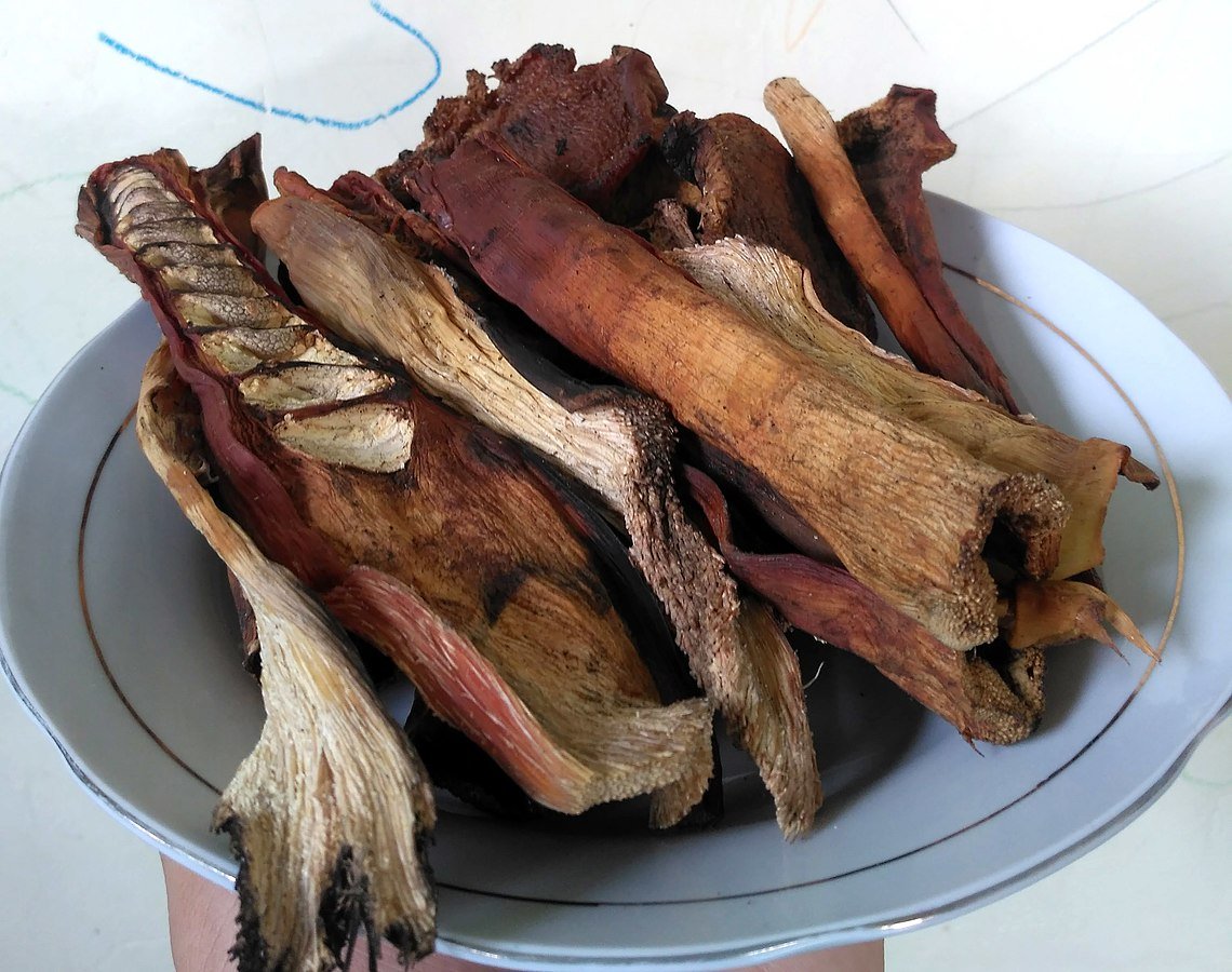 Cuachalalate