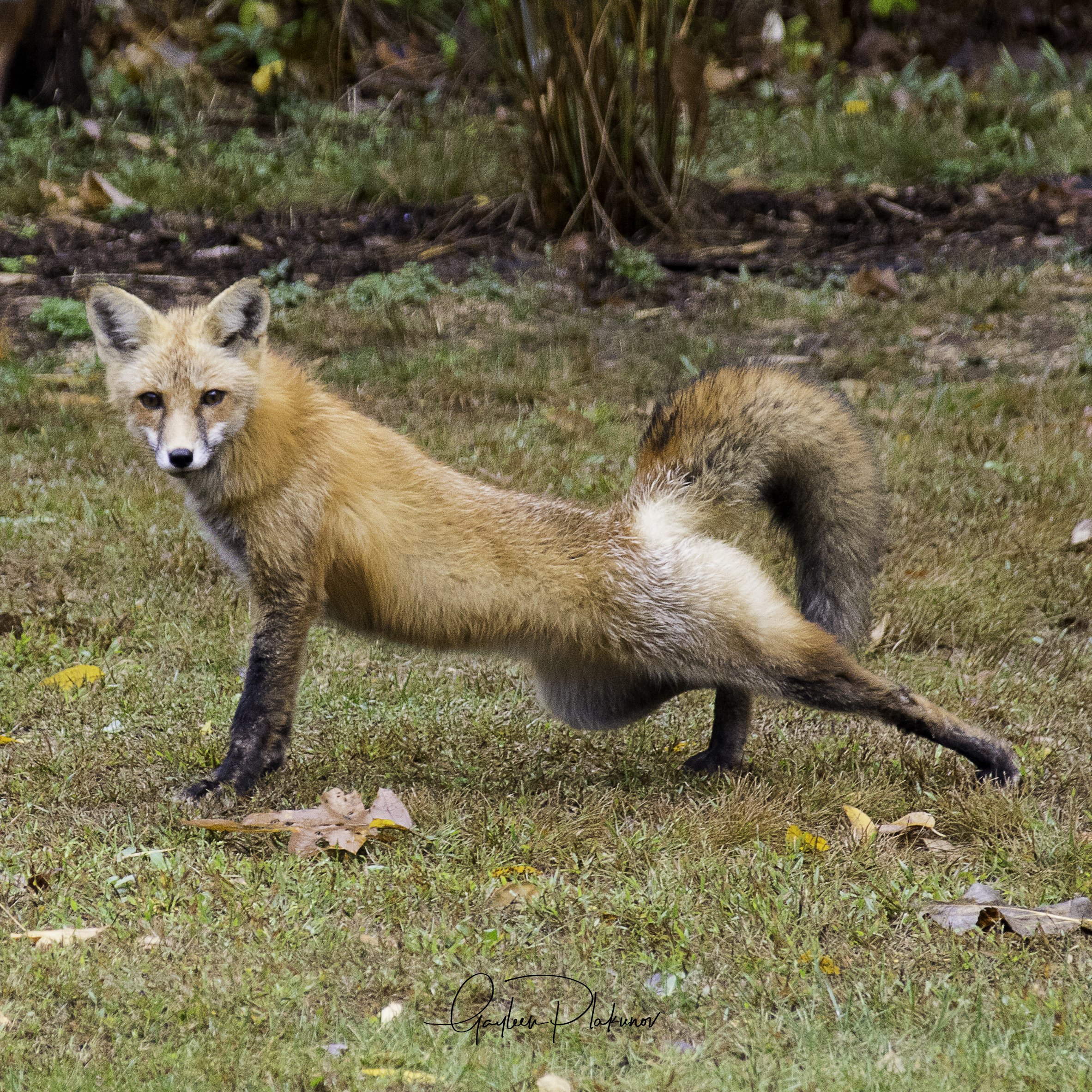 WEB_3245-WIL.jpg