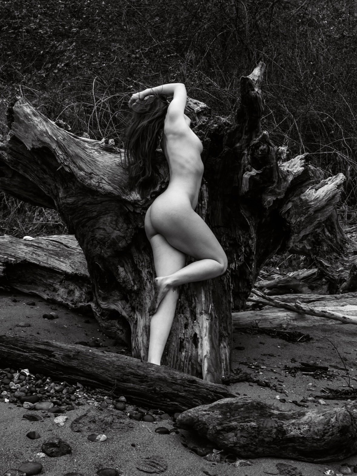DRIFTWOOD 02