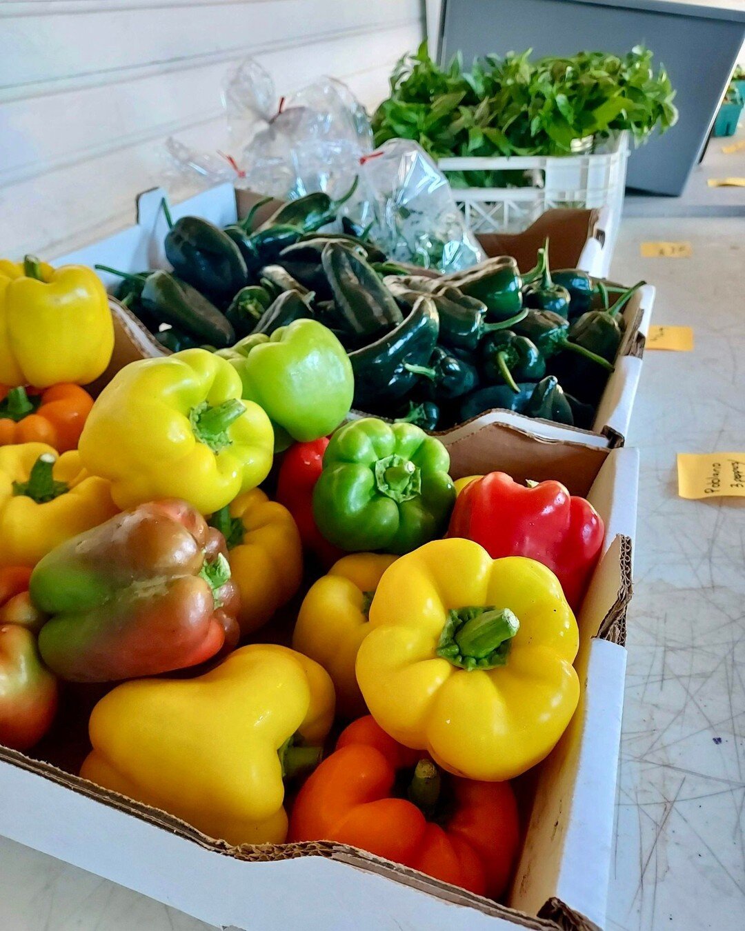 So so much thanks going out to our customers this Monday afternoon!
On Saturday, we hosted our first ever Pop-up Market -AND- we had a wonderful turnout! With a farmer's market feel, customers were able to stop on by and peruse the produce before de