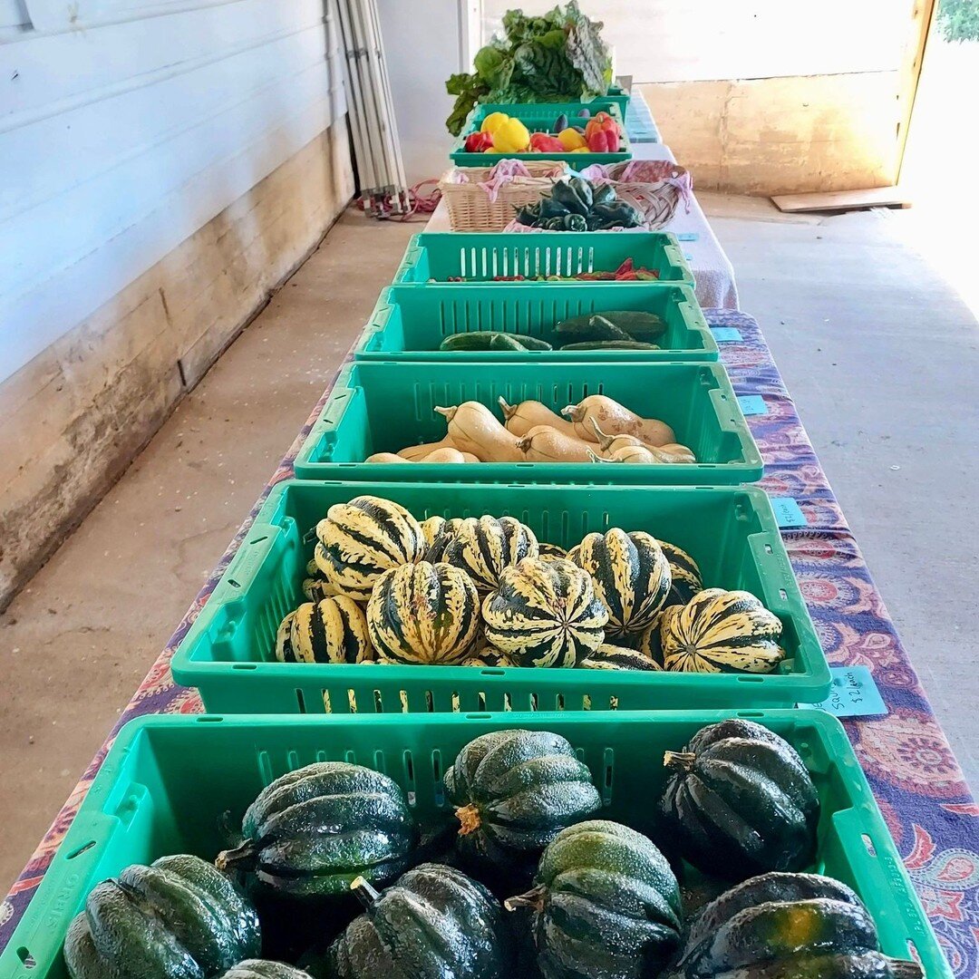 Happy Monday! Happy Pop-up Markets!
After much support from YOU, we've decided to have ONE MORE Pop-up Market before our online market sales swing back into action. Our Fall Market Garden opening is just around the corner!
Join us this Saturday,