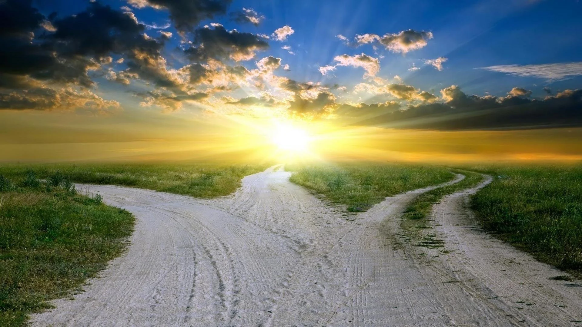 A Fork In The Road