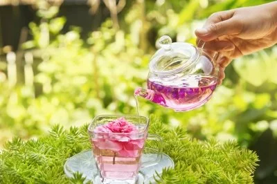 For Lovers of Tea!