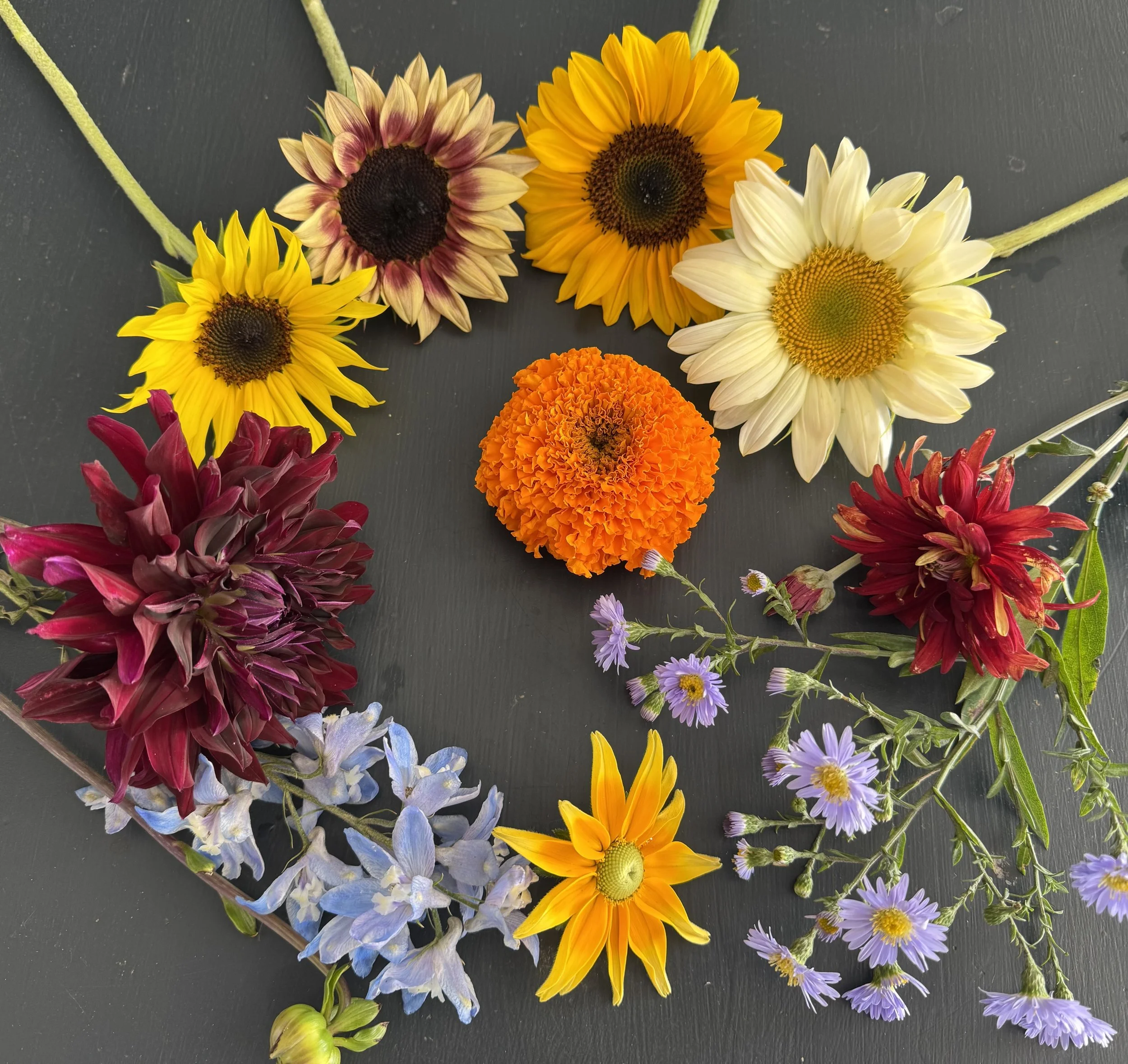 What flower is it?