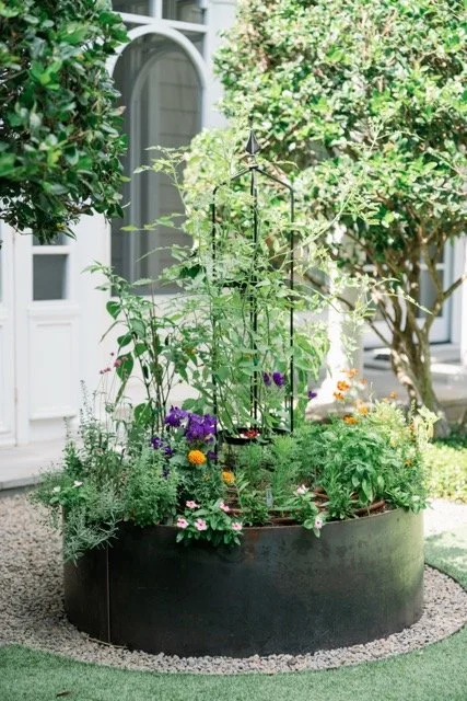 Garden-Girls-Texas-Bellaire-Beauty-2.jpeg