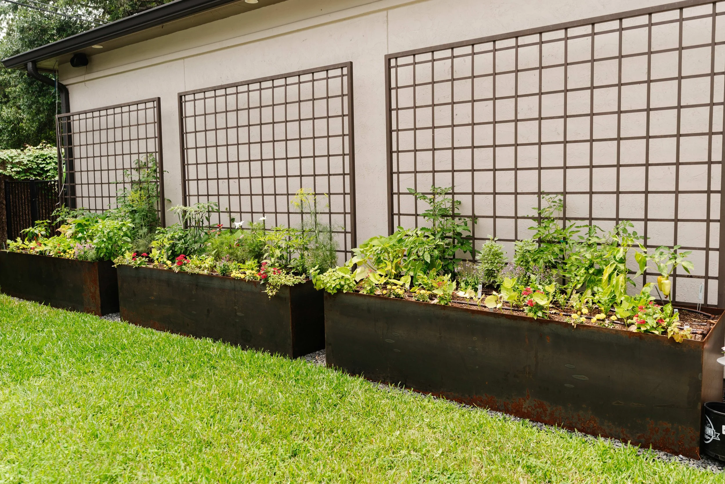 Double your growing space with trellises