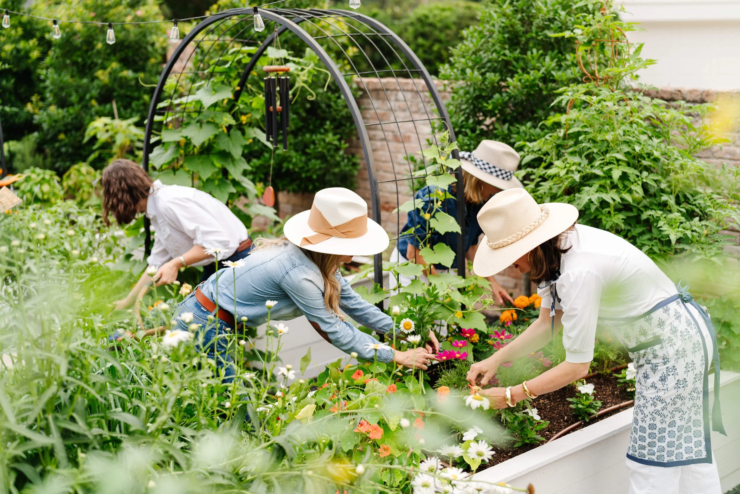 How to prepare your beds for Spring