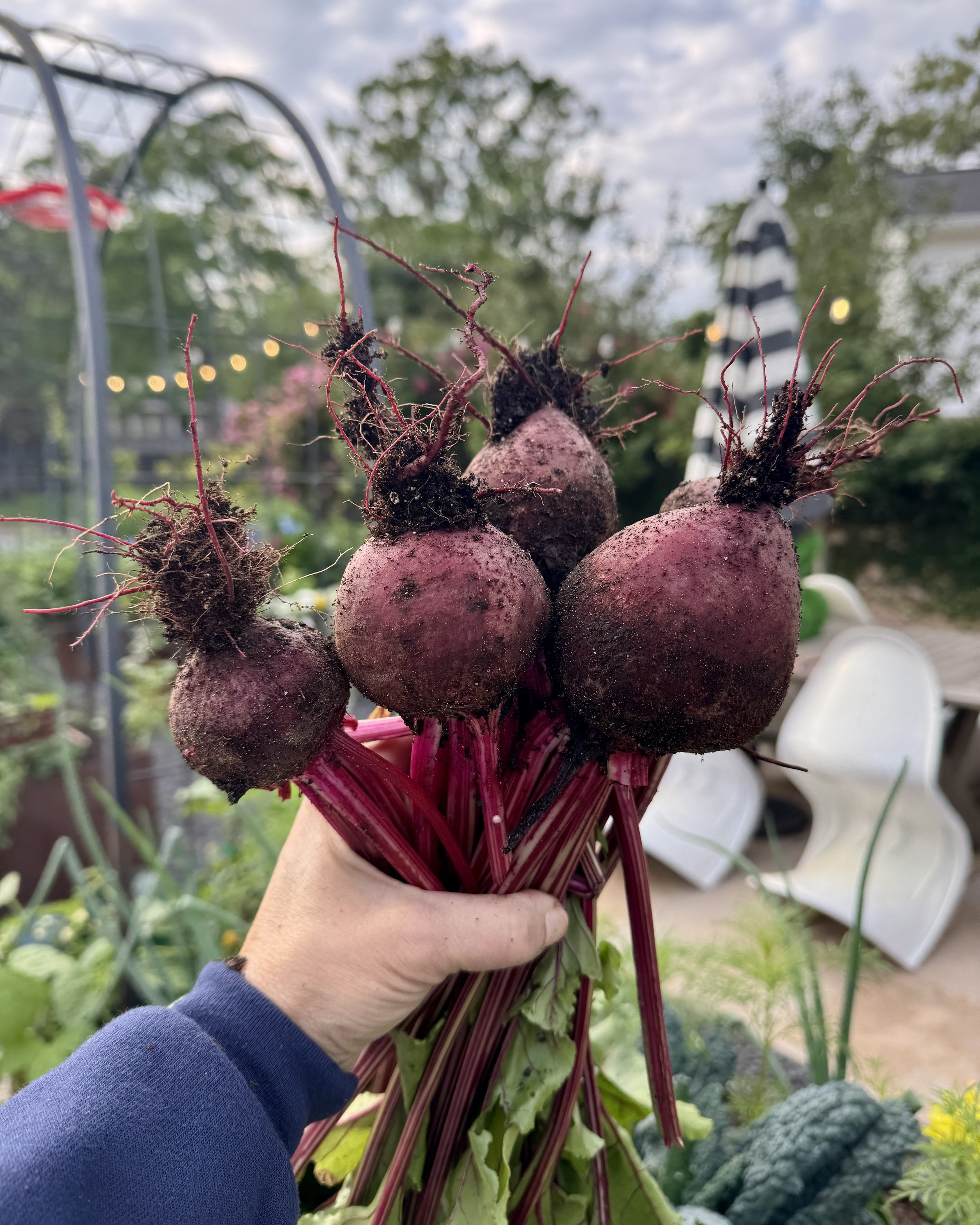 This month, my garden has taught me….