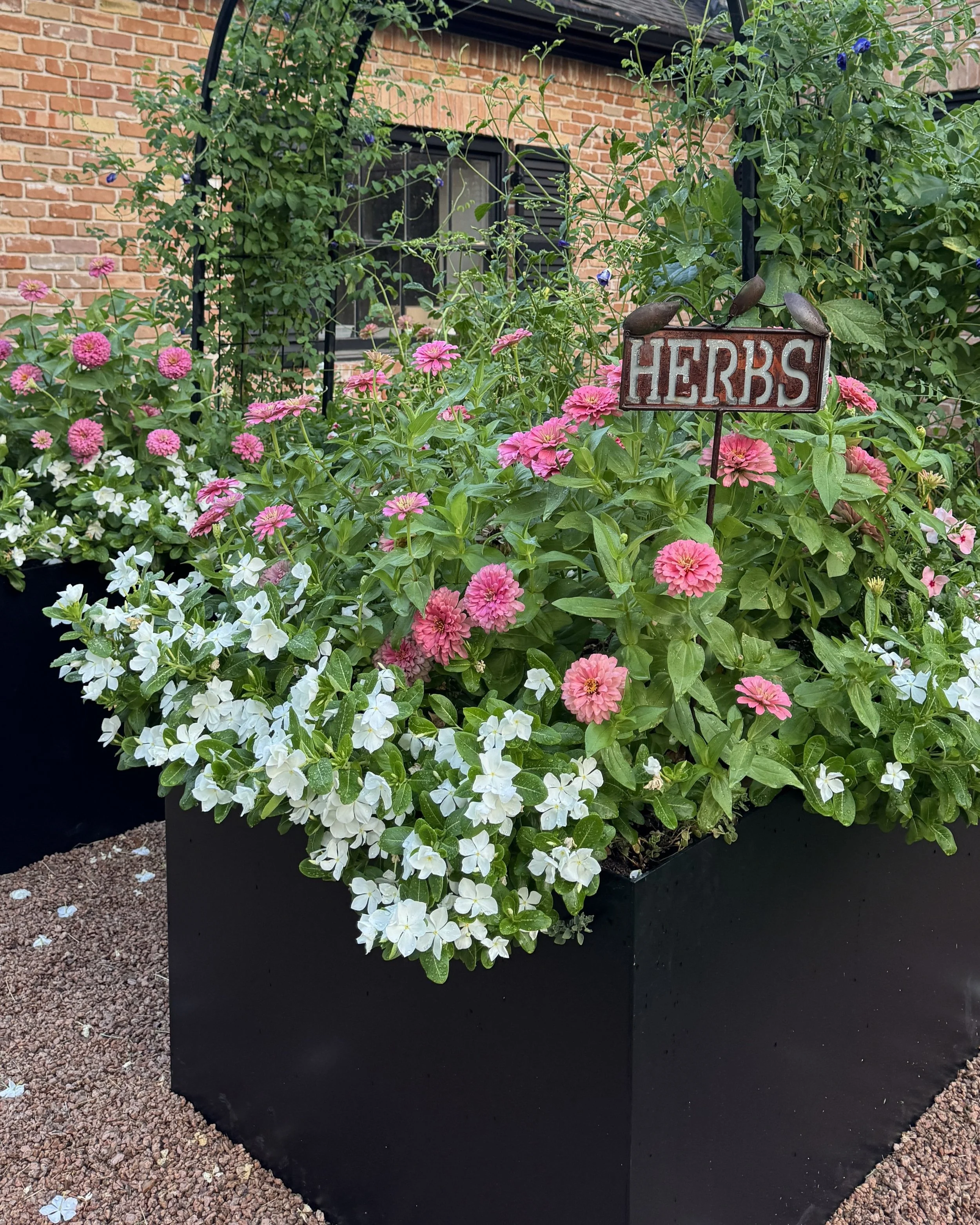A Late-Summer Pink &amp; Green Garden That Carries Into Fall