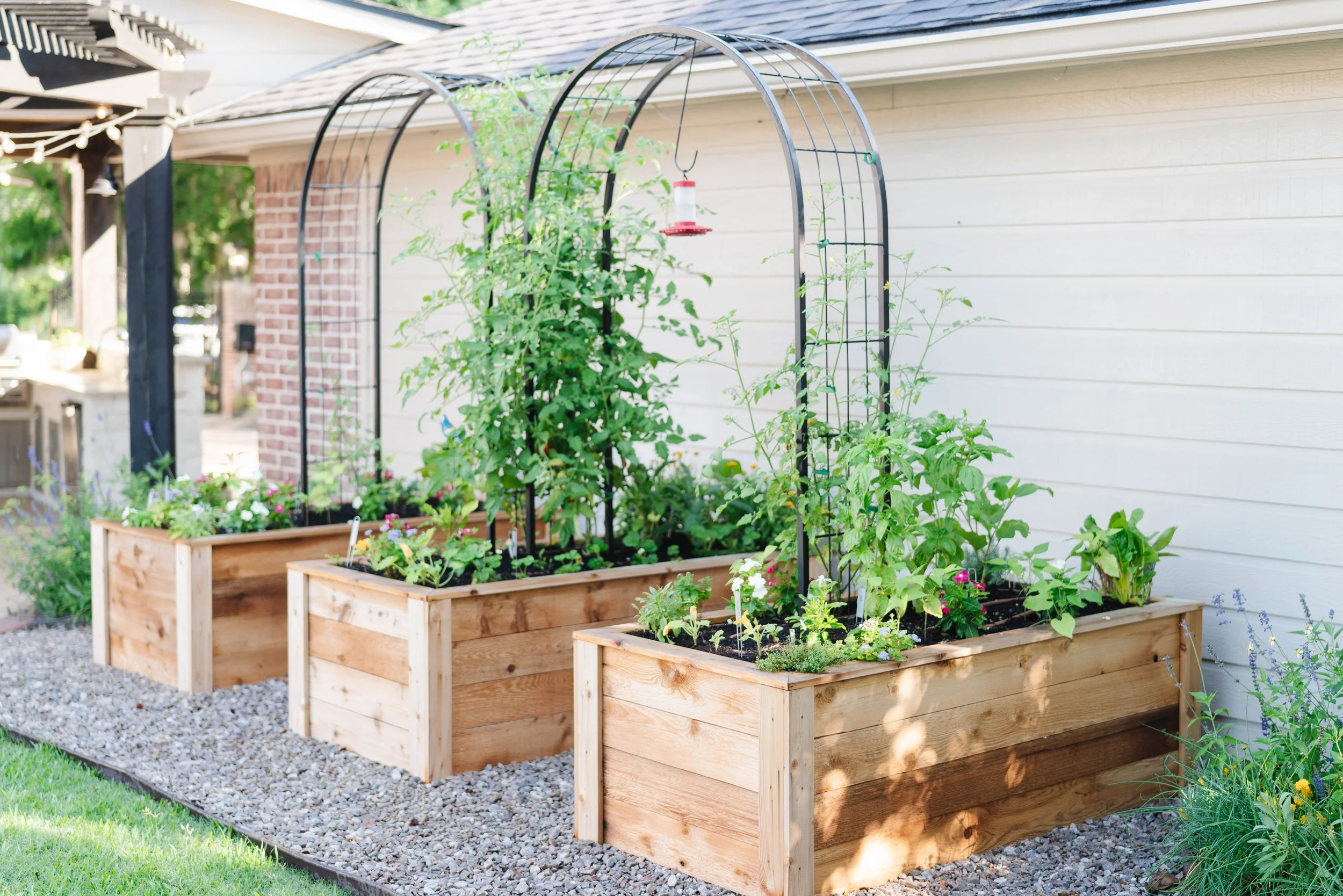 From One Small Garden to a Backyard Haven