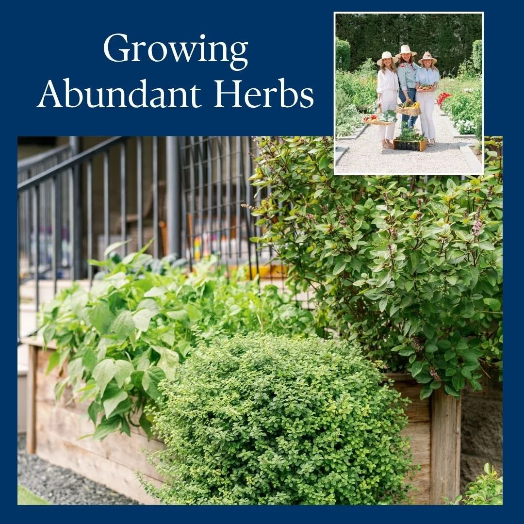 Garden-Girls-Texas-Growing-Abundant-Herbs.jpg