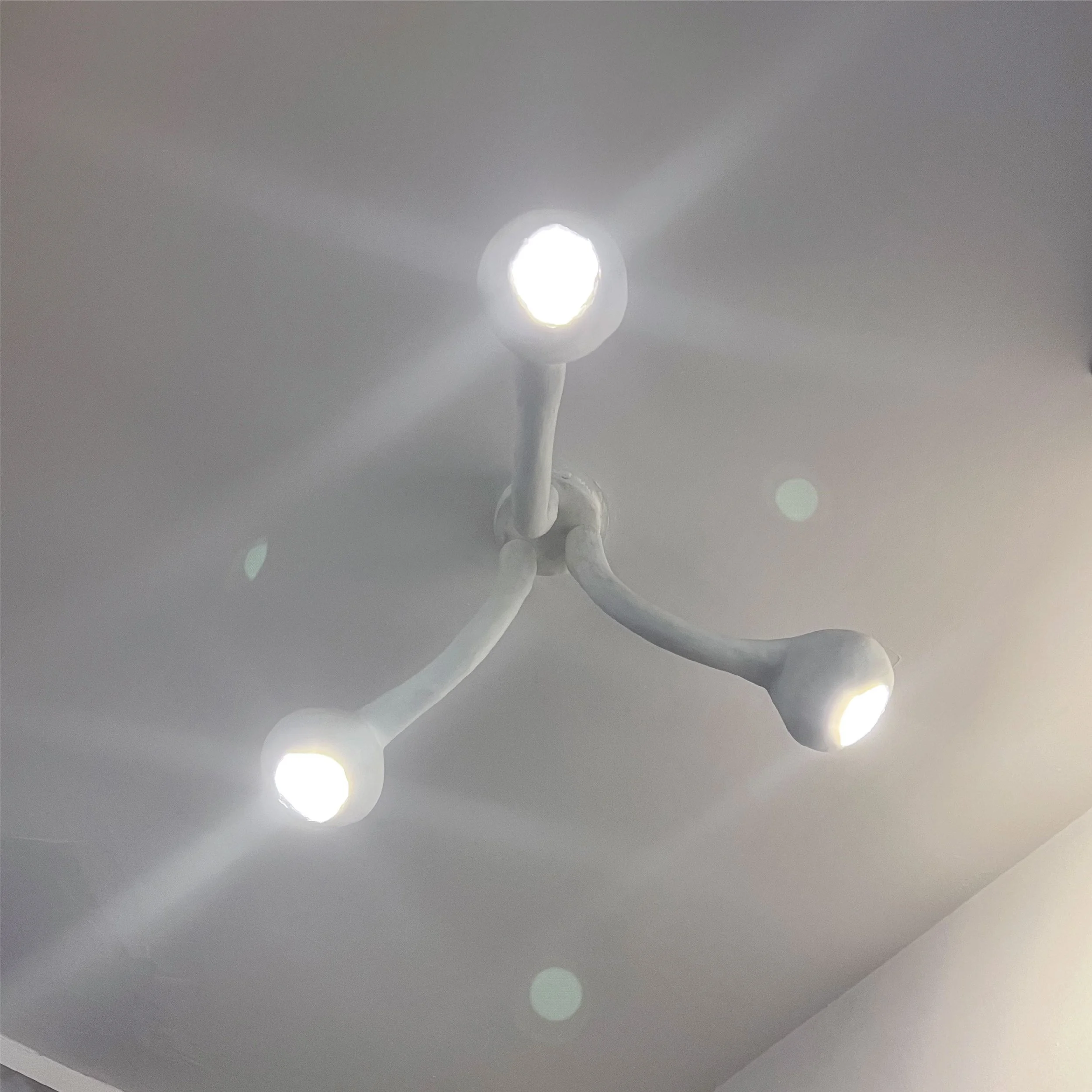 Disassembled Chandelier-09.jpg