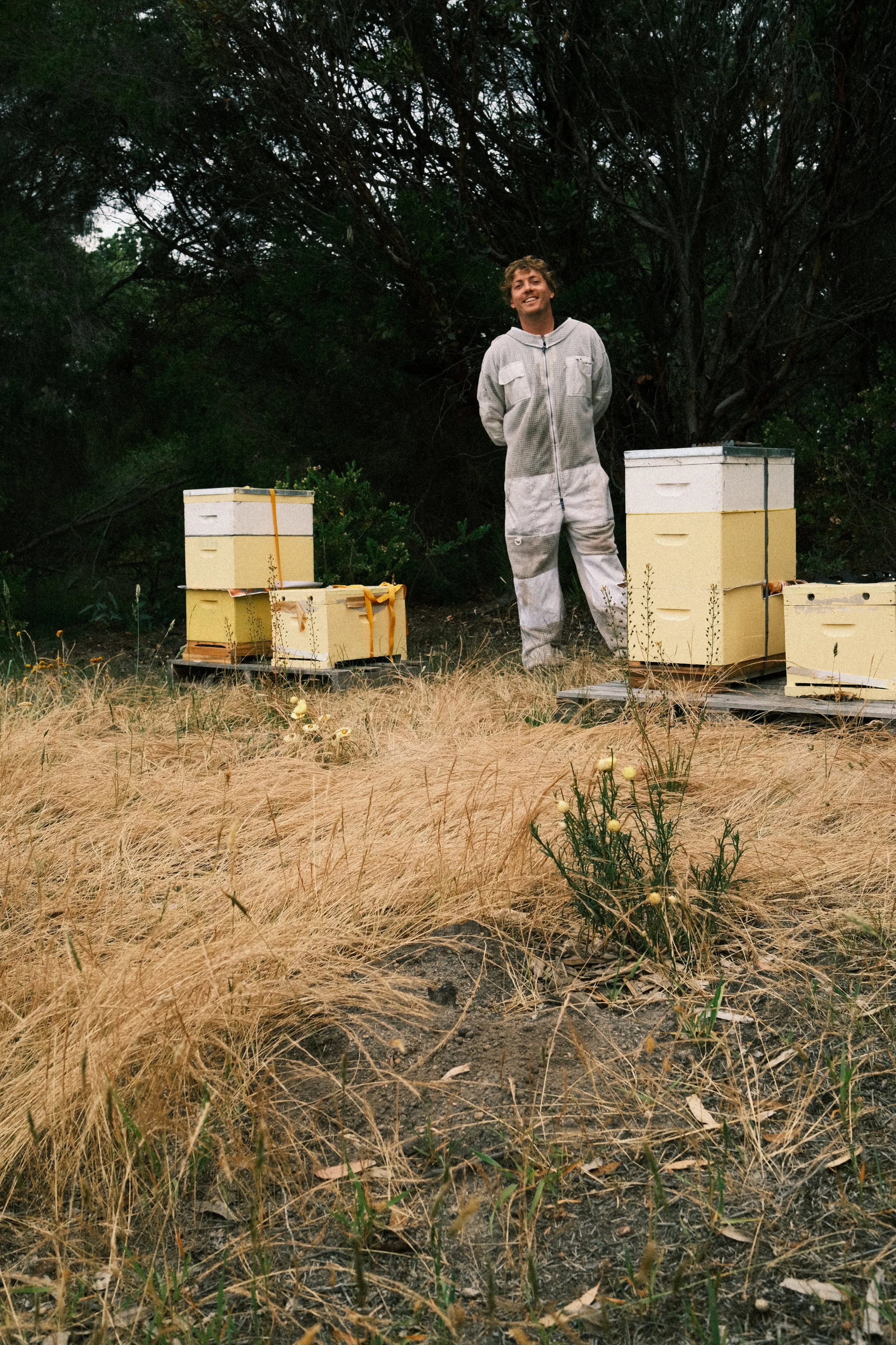 beekeeping surfcoast anglesea coastal nectar journey