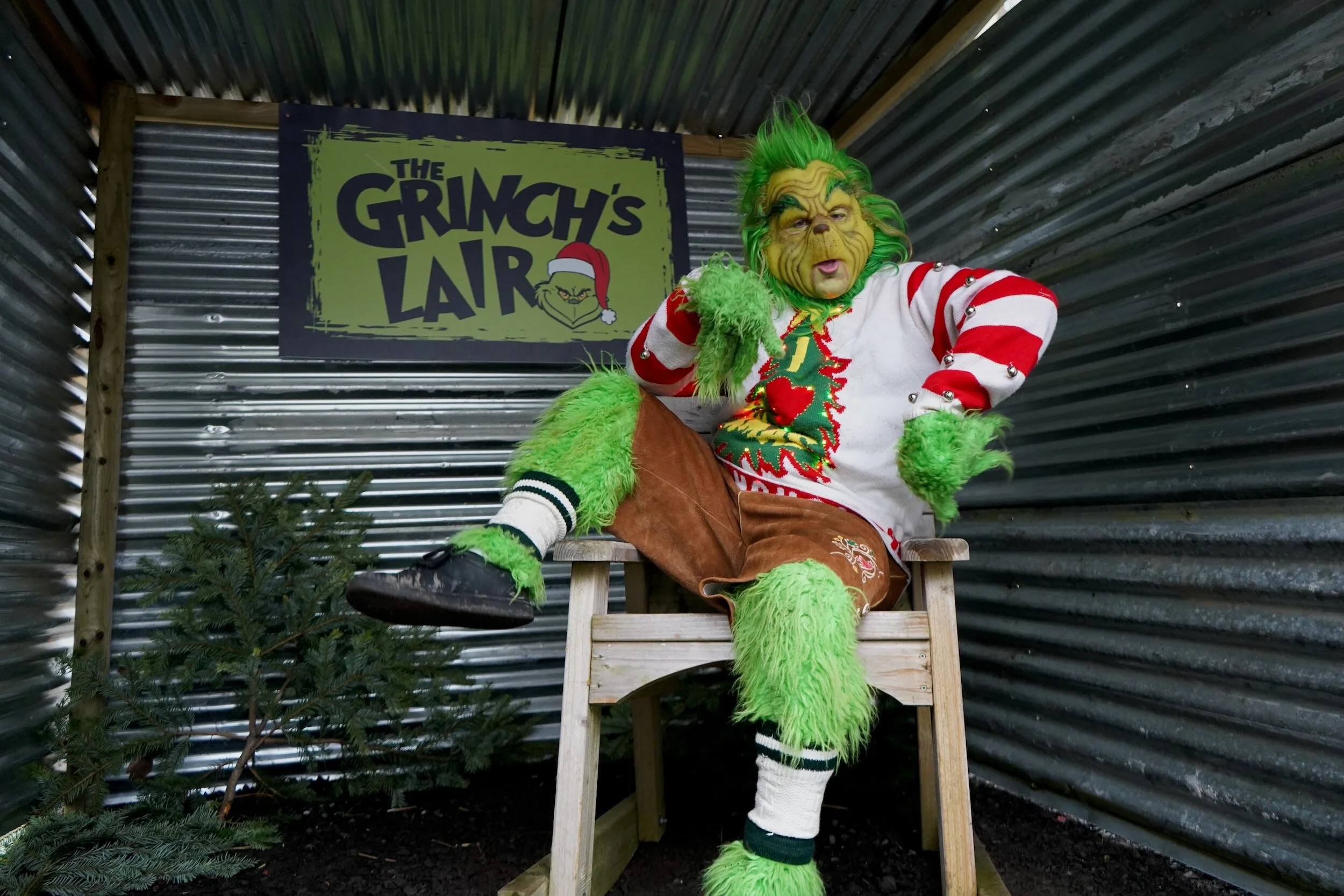 Christmas Sip, Shop, &amp; Stroll with the Grinch