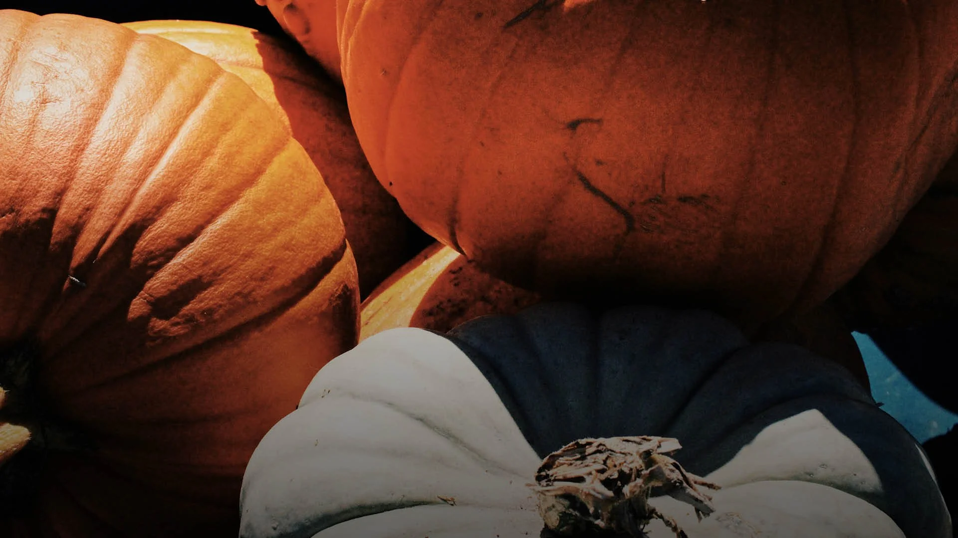 Fall Festival Trunk or Treat Adams Elementary Volunteer