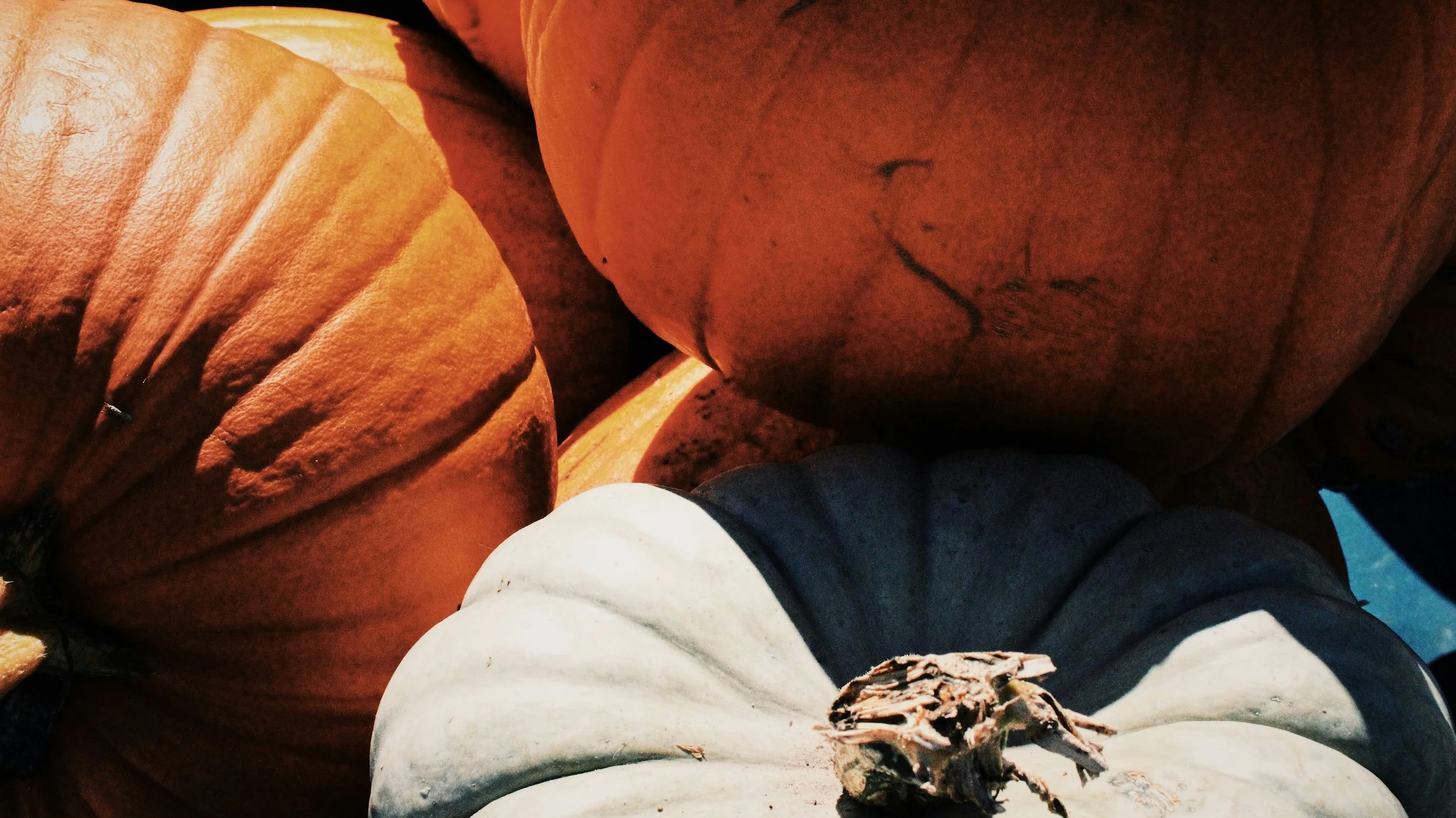 Adams Elementary Fall Festival