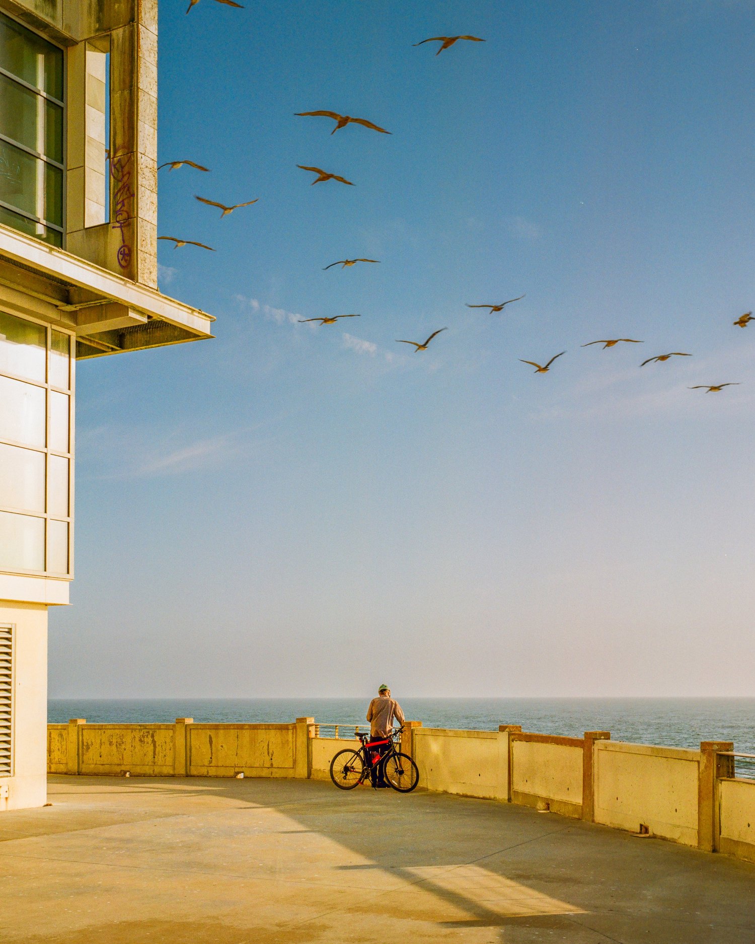 Photograph 1 from selected work by Joshua Amirthasingh