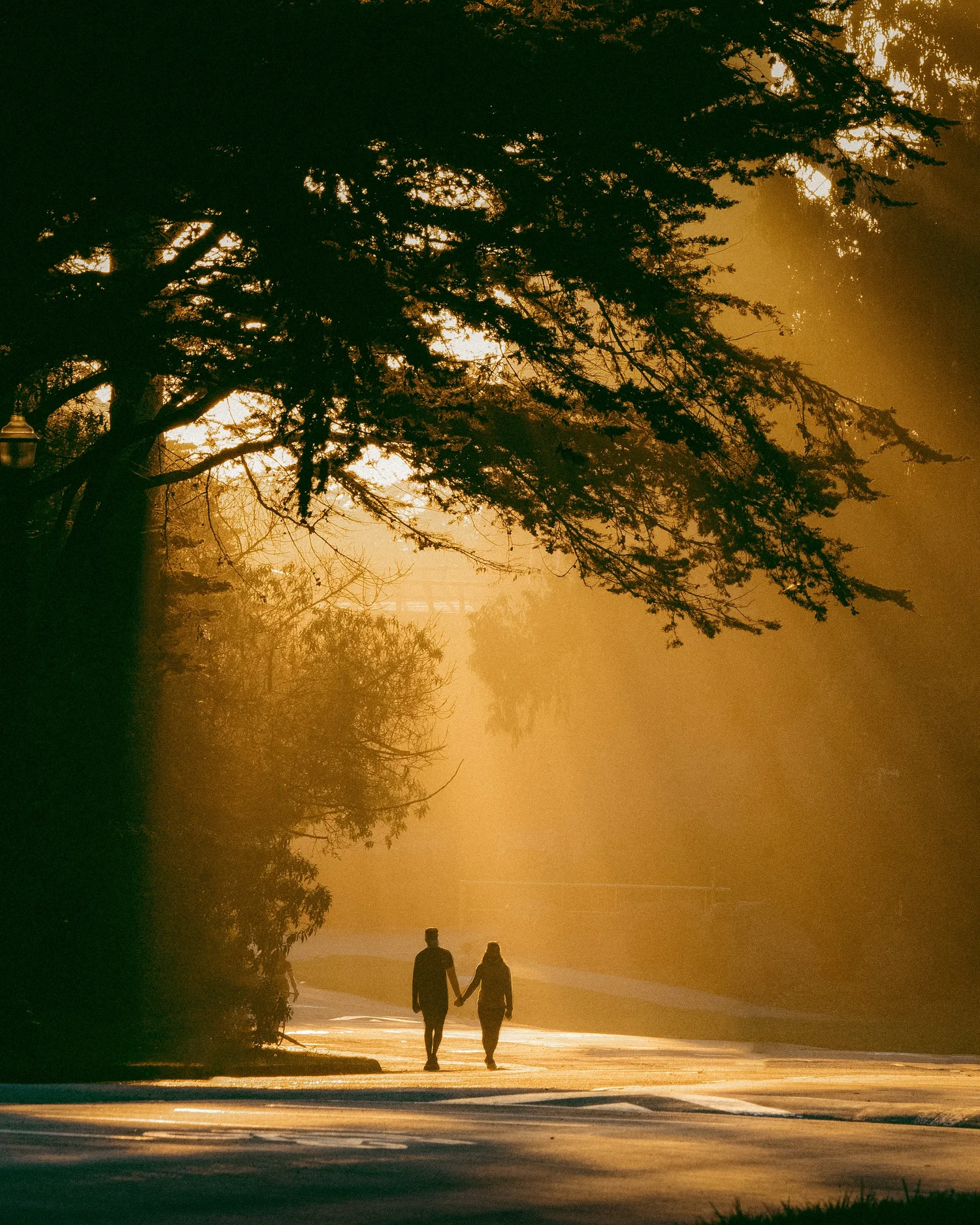 Photograph 10 from selected work by Joshua Amirthasingh